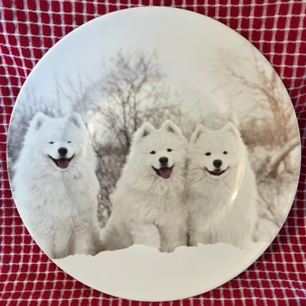 COPY - Robert Stanley Home Collection - NEW - Samoyed / Winter White Collectibl…